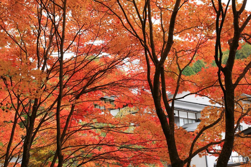 Nukumorino-Yado Komanoyu Kiso Buitenkant foto