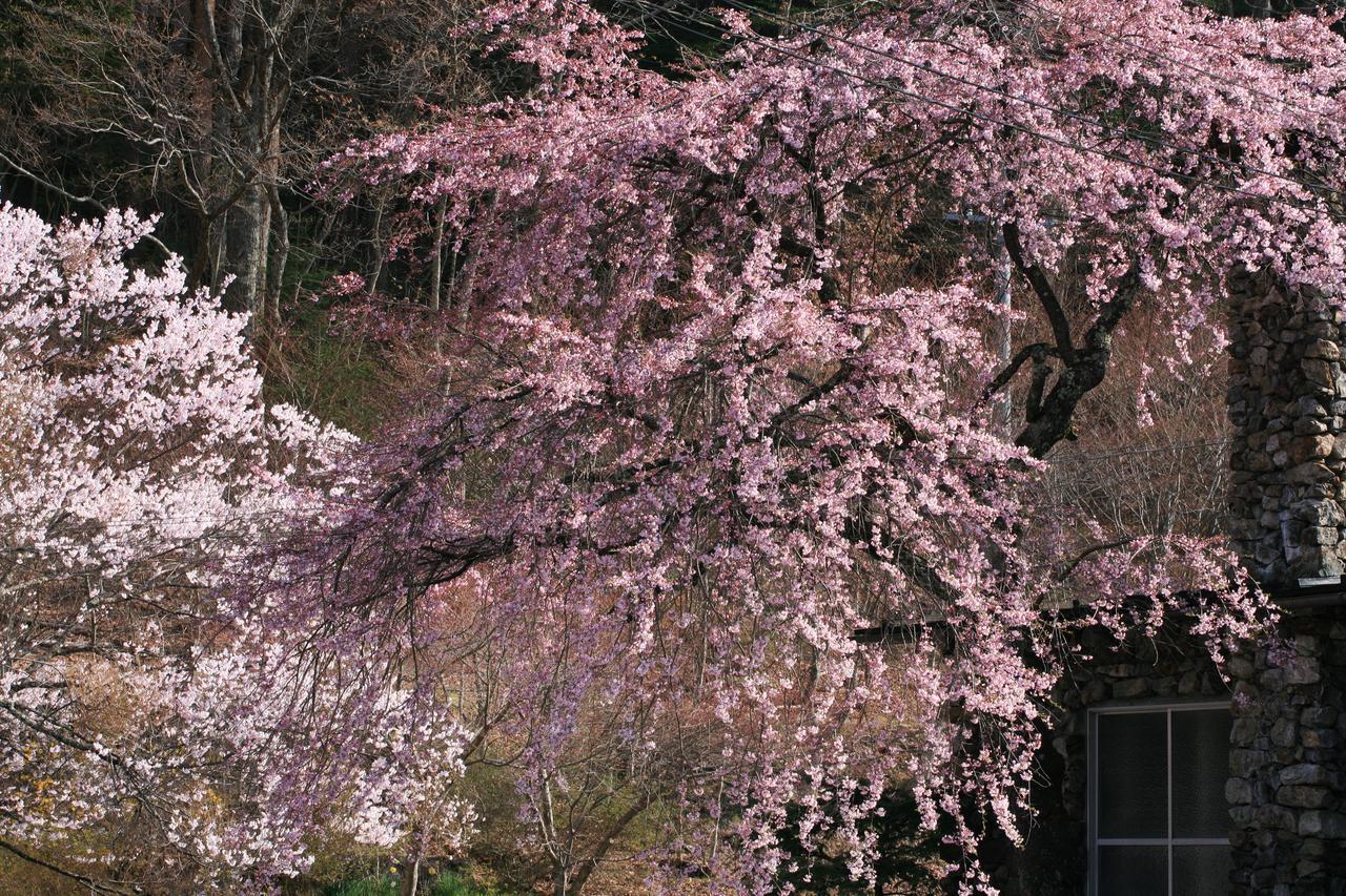 Nukumorino-Yado Komanoyu Kiso Buitenkant foto